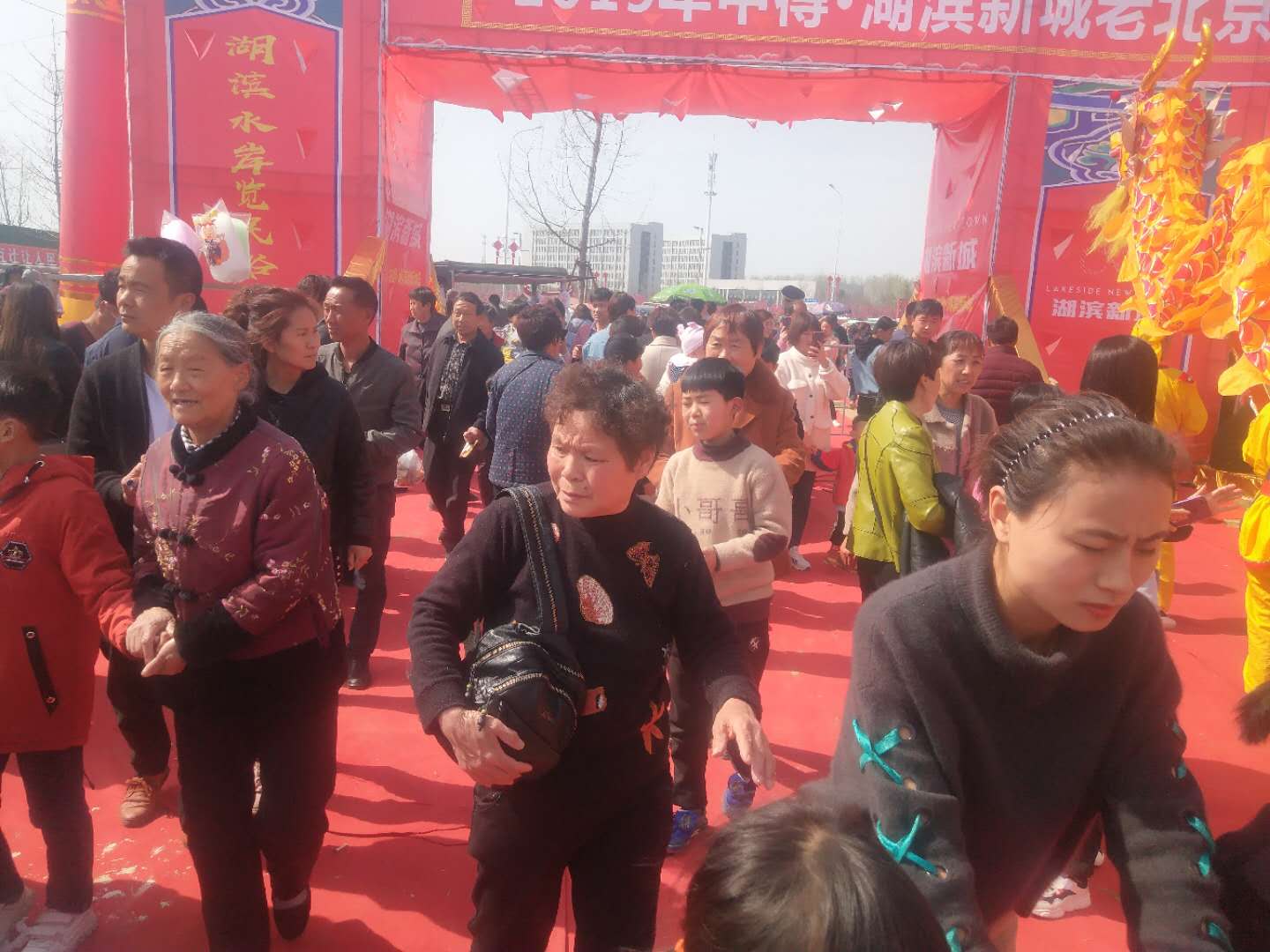 2019汝南老北京庙会马戏美食嘉年华现场